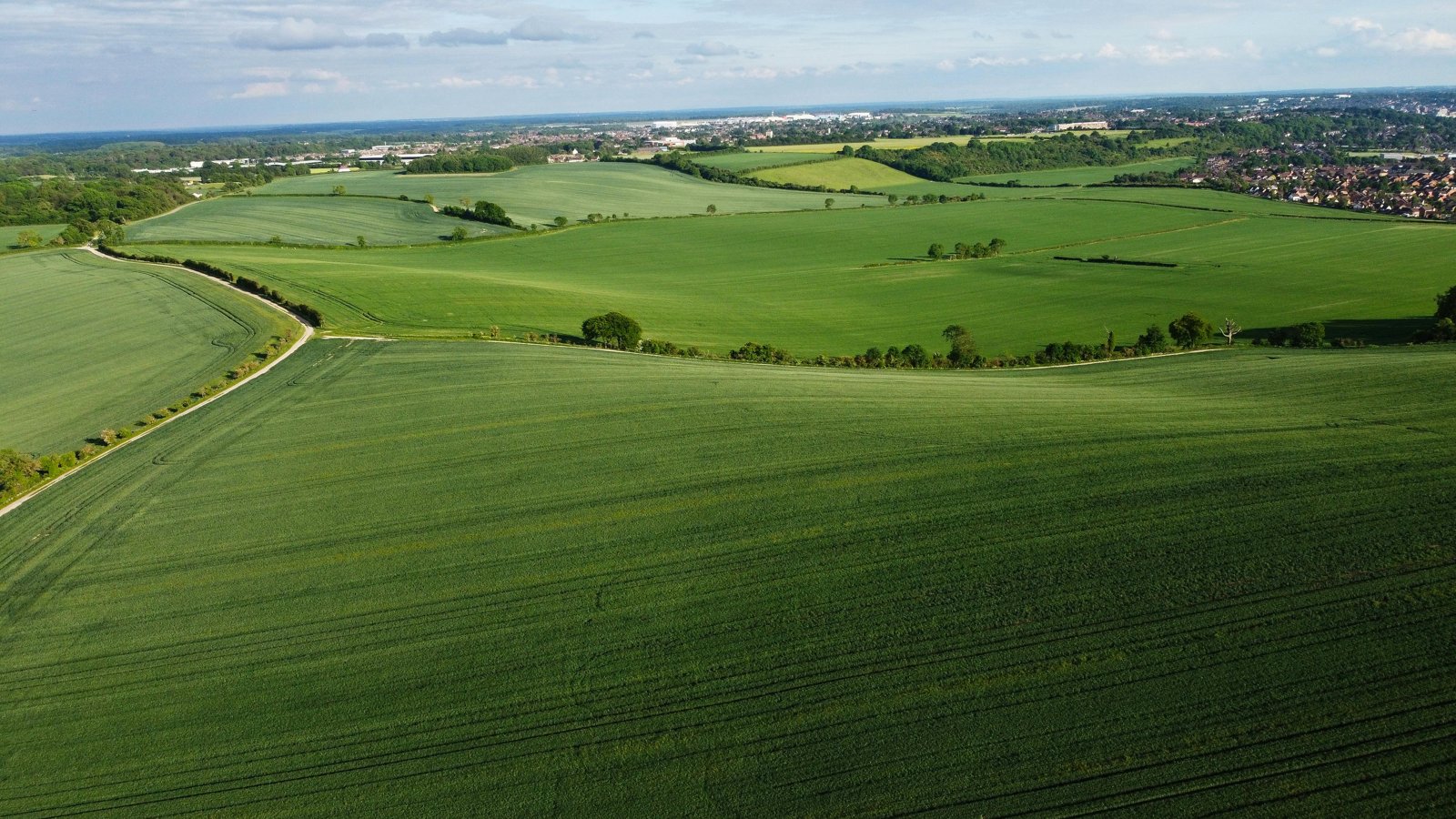 The countryside